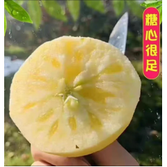 云南昭通丑苹果正宗冰糖心产地直发 果王果径85以上