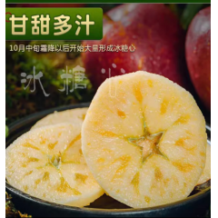 云南昭通丑苹果正宗冰糖心产地直发 小果 果径60-69